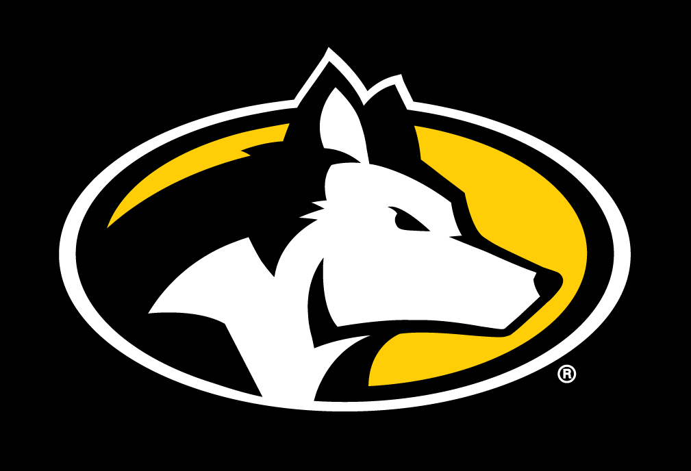 Michigan Tech Huskies 2016-Pres Partial Logo v2 DIY iron on transfer (heat transfer)